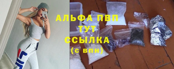 ALPHA PVP Горнозаводск