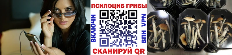 Псилоцибиновые грибы прущие грибы  магазин продажи наркотиков  ОМГ ОМГ tor  Иланский 